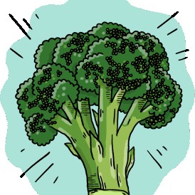 How to grow Italian Sprouting Broccoli