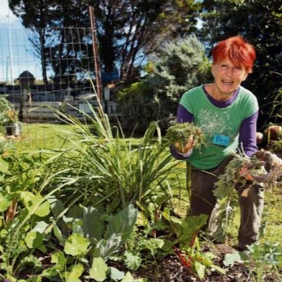 Digital Event - Learn How to Make An Instant Garden Bed with Peg Davies
