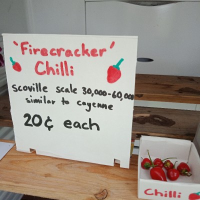 🔥 Firecracker Chilli 🔥