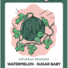 Grow it local watermelon illustration, Sugar Baby variety.