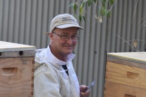 Make your garden a haven for bees!