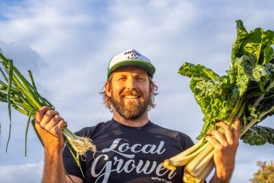 The Best Veggies & Herbs to Regrow From Kitchen Scraps