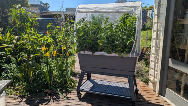 Portable greenhouse with thriving plants on a sunny deck.