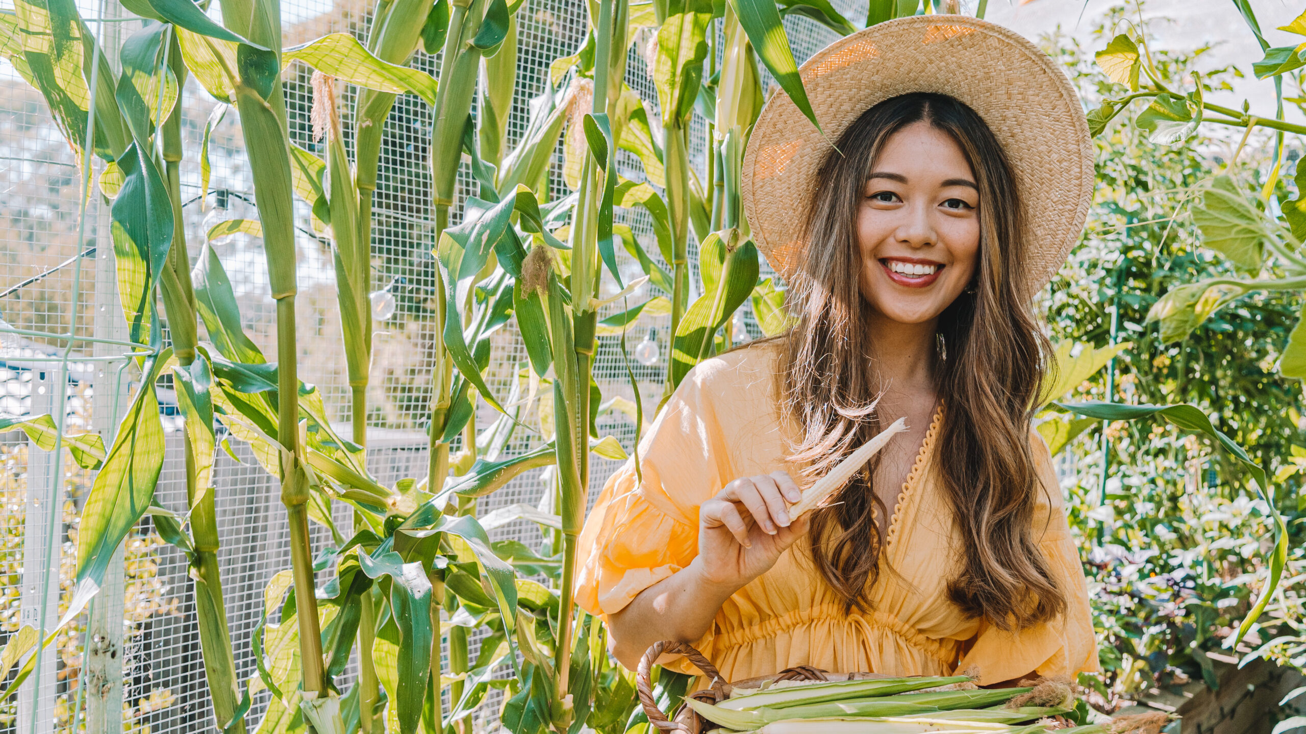 Your Winter Asian Veggie Patch