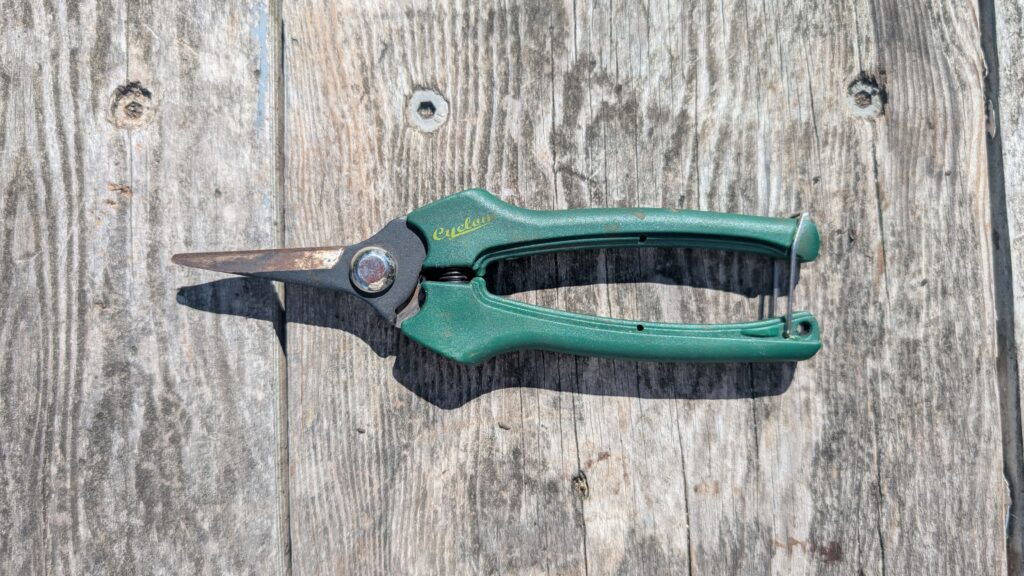 Green secateurs on wooden surface