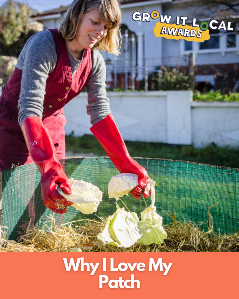 Woman gardening with cabbage outdoors