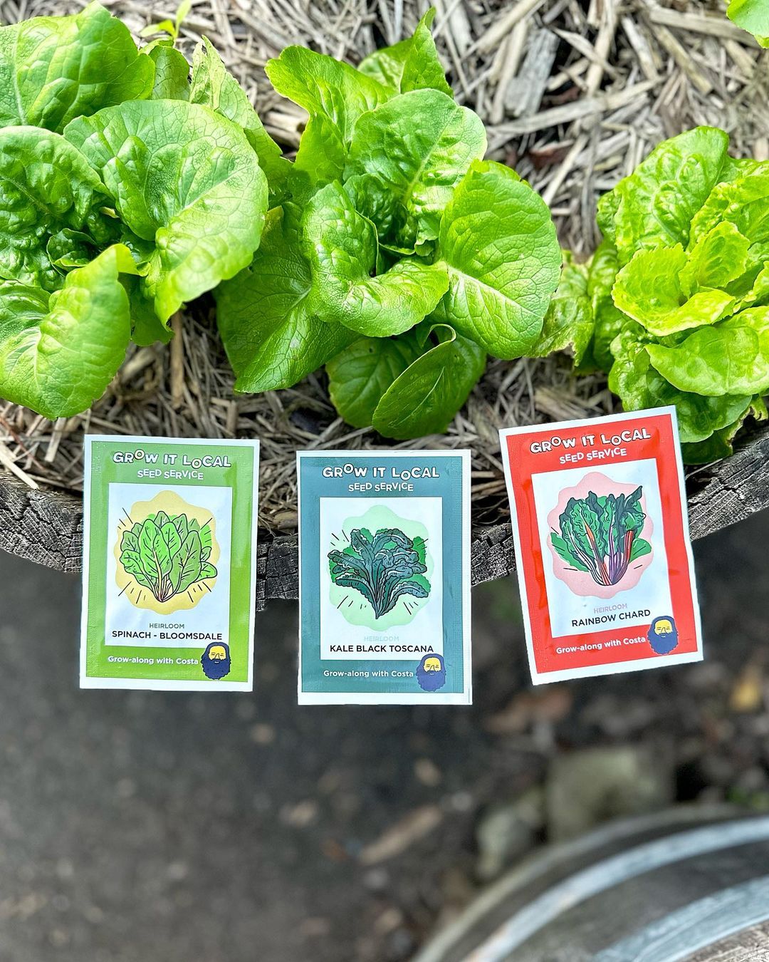 Lettuce with seed packets for local growing.