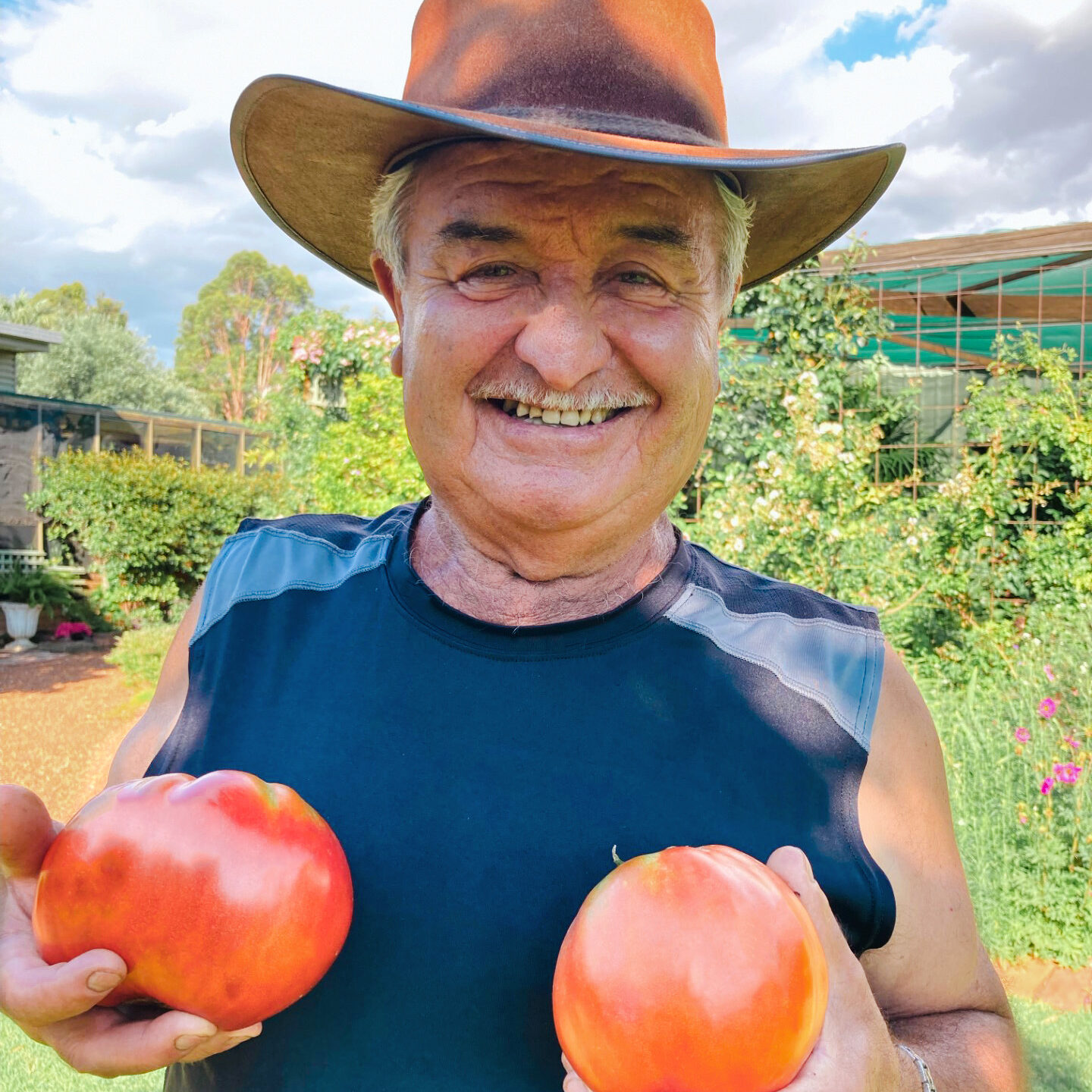 Man smiling with large tomatoes in garden