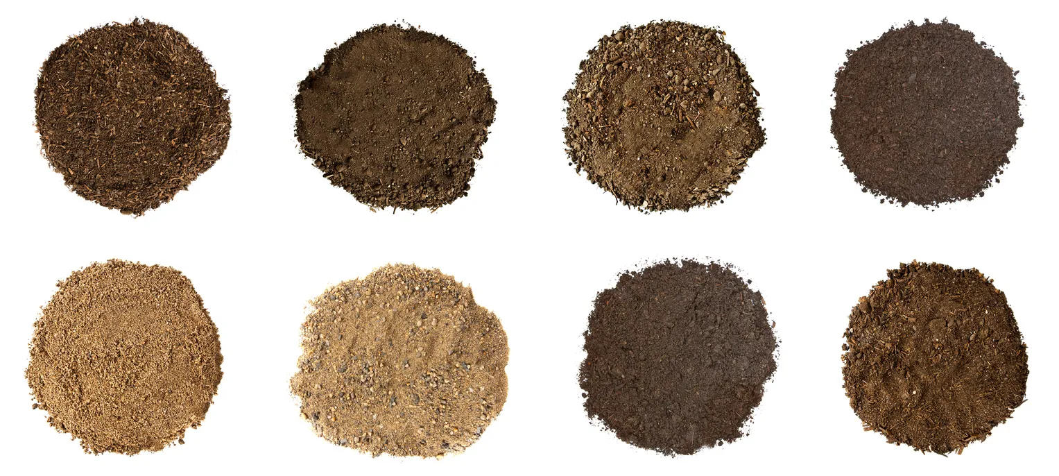 Various soil samples displayed in circular patterns.