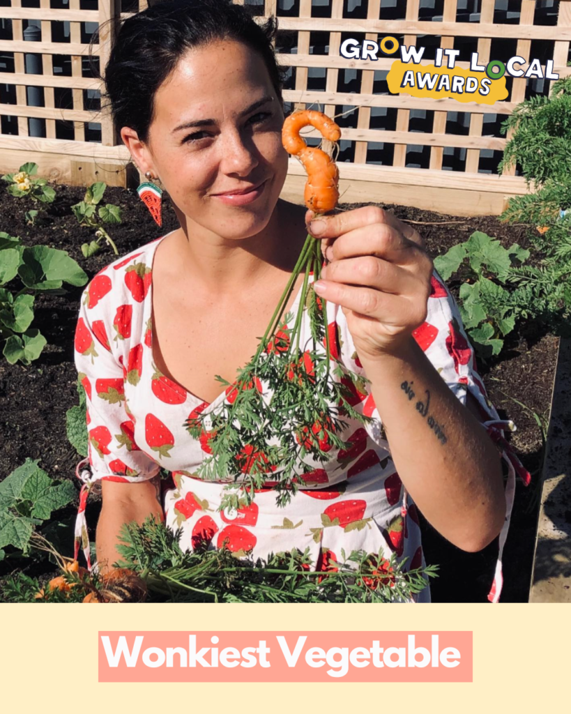 Woman holding unique carrot in garden bed.