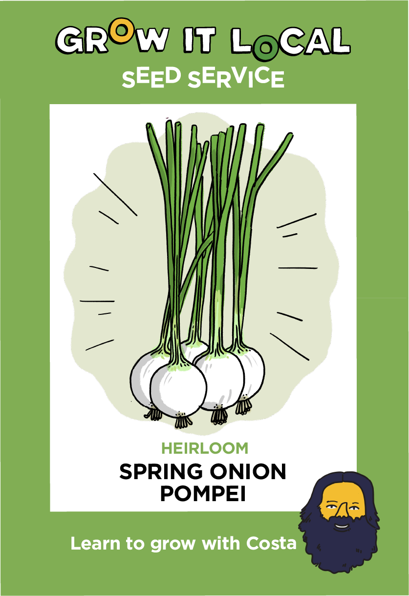 Heirloom spring onion seeds from Grow It Local.