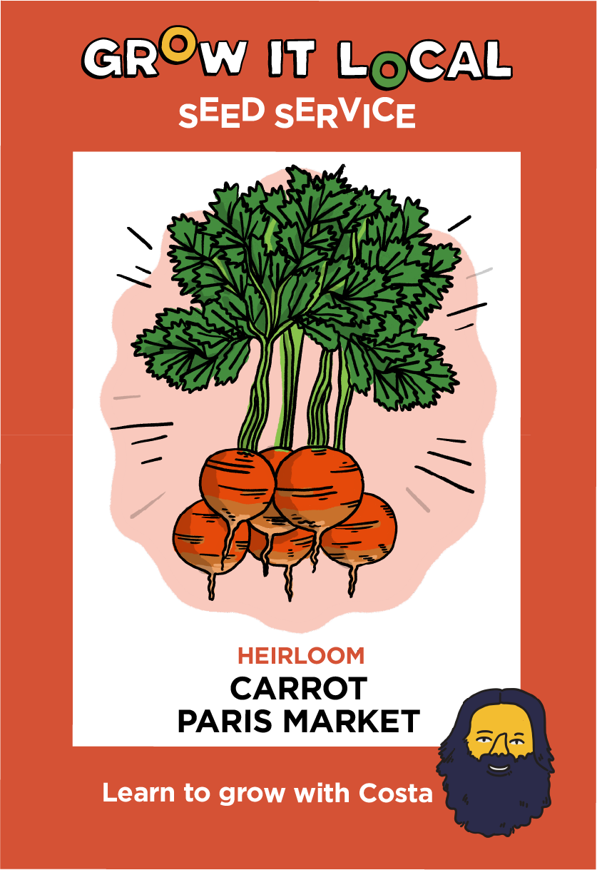 Grow It Local heirloom carrot seeds guide