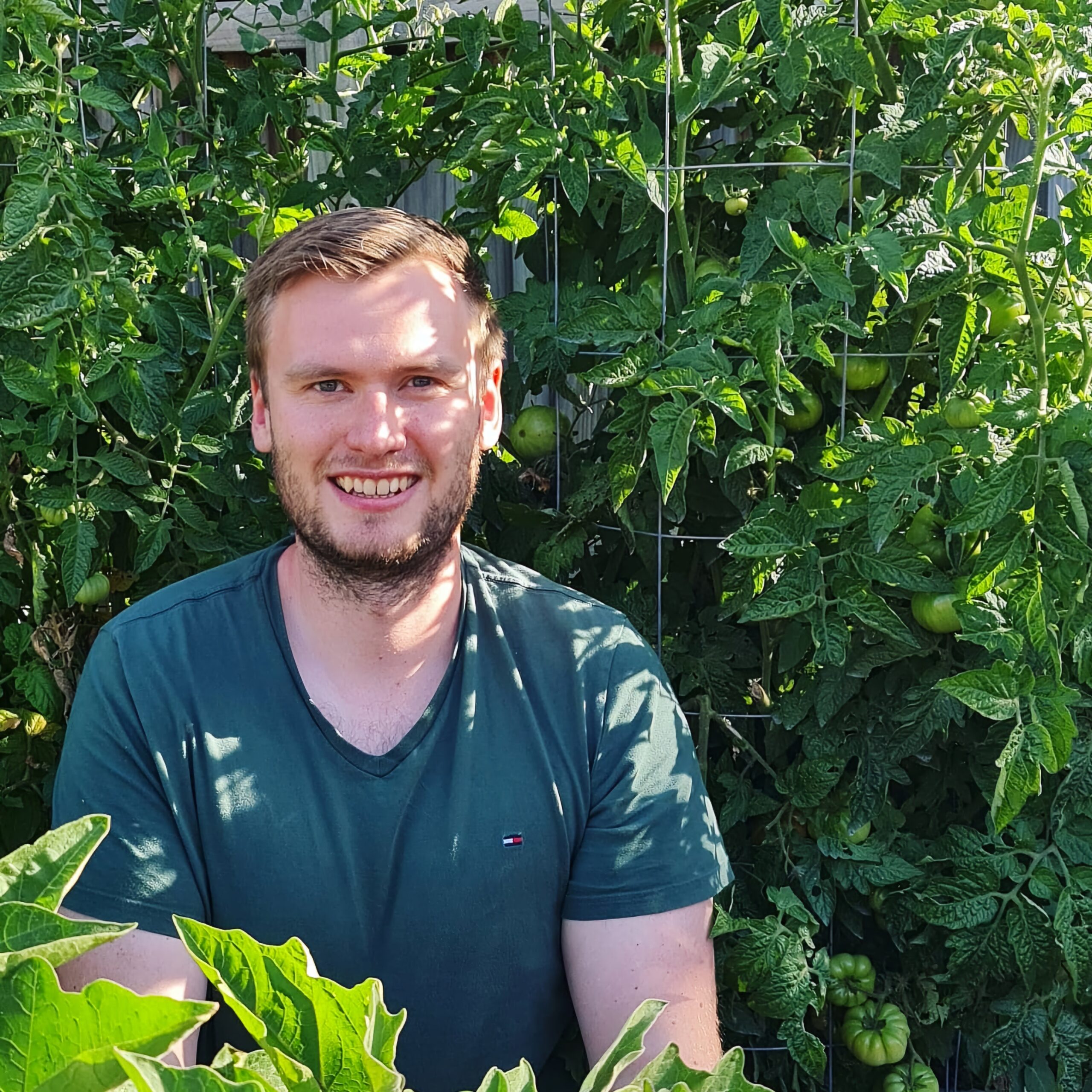 Person smiling in lush tomato garden