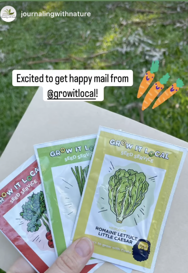 Hand holding vegetable seed packets outdoors.