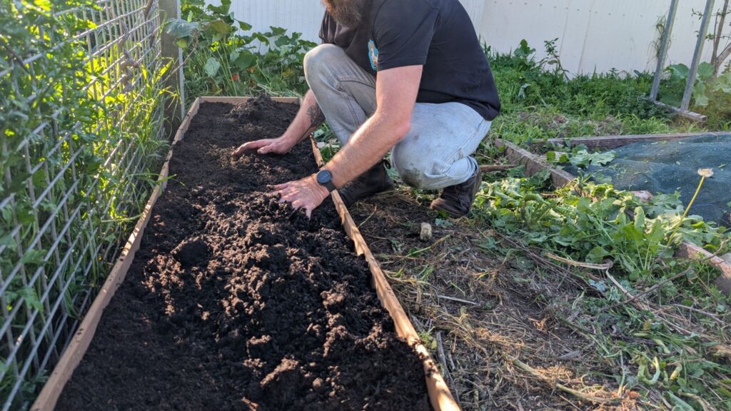 Man planting in raised vegetable garden bed.