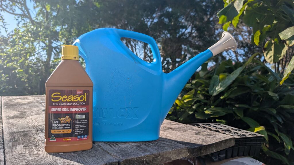 Seasol soil improver and blue watering can outdoors.