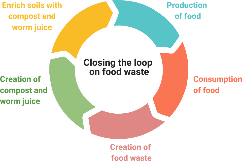 Cycle of food production, consumption, and waste recycling.