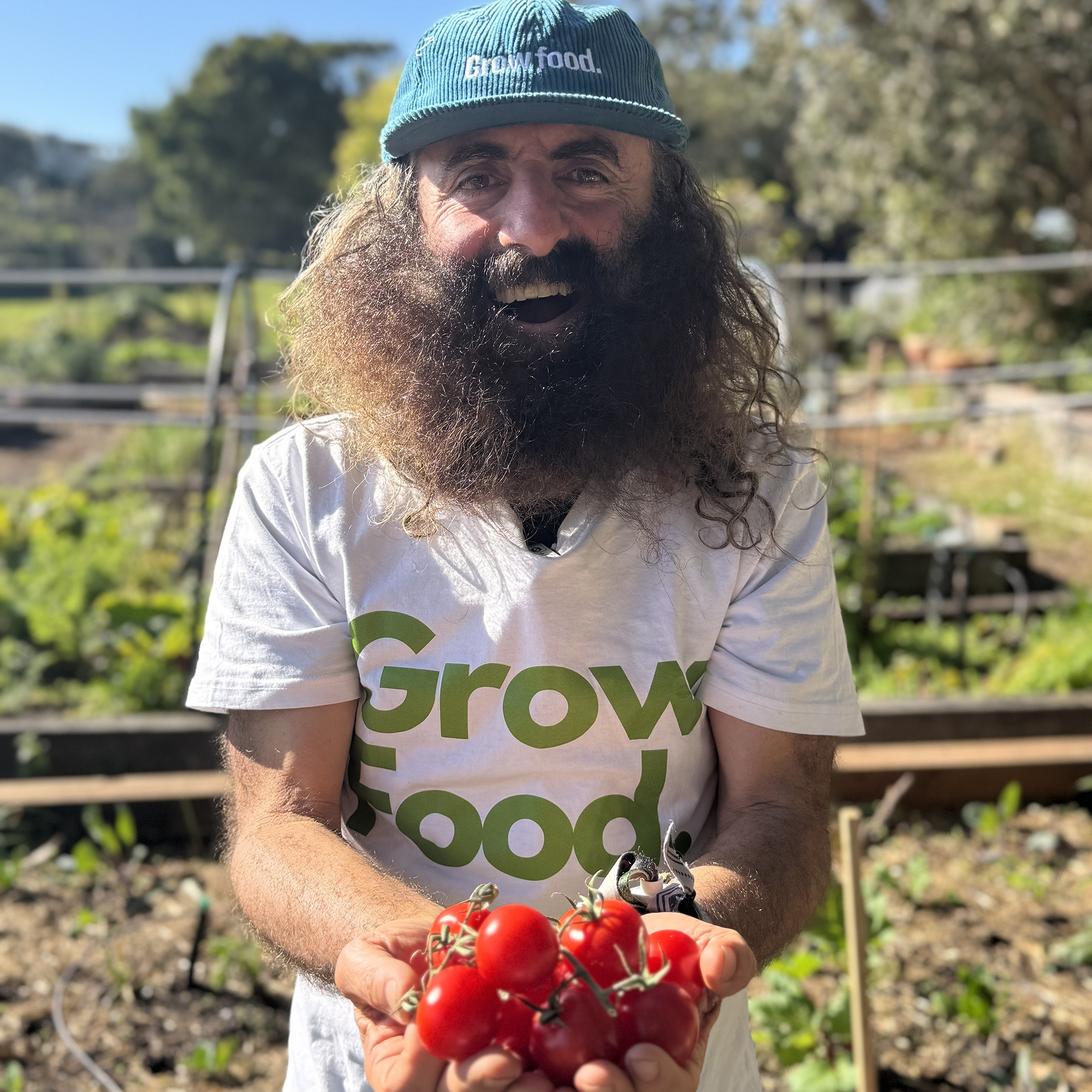 Man holding fresh tomatoes in a garden.