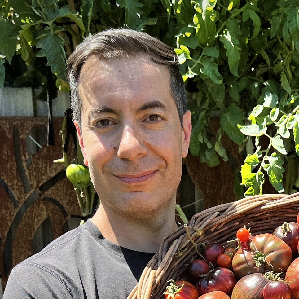 Person holding basket of fresh tomatoes in garden.