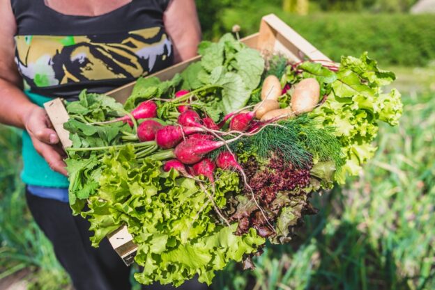 Fresh vegetables in a wooden crate outdoors.