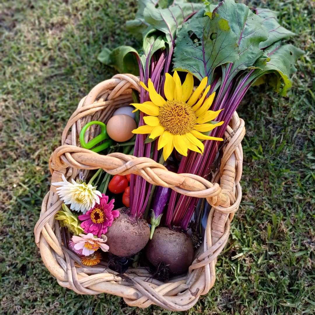 Basket of garden vegetables and flowers on grass.