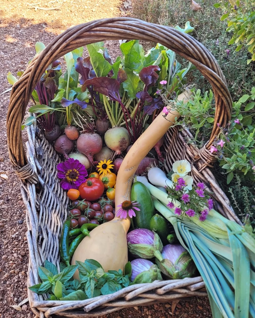 Fresh garden veggies and flowers in wicker basket.