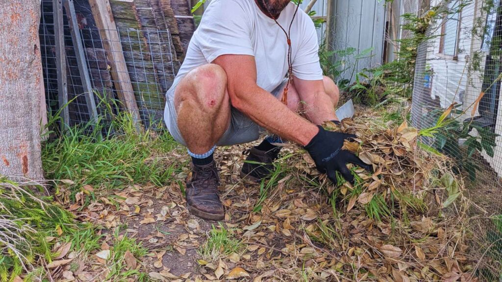 Man collecting fallen leaves in garden.