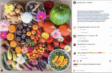 Colourful assortment of vegetables and flowers arranged aesthetically.