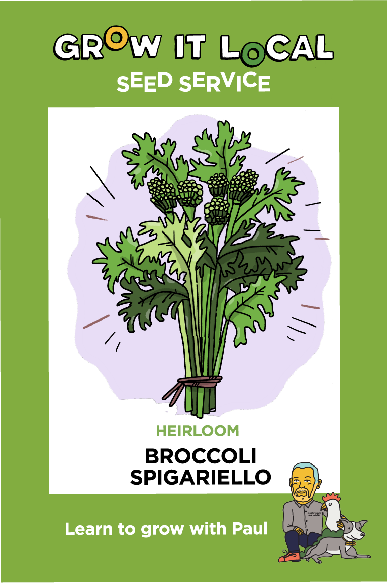 Grow It Local heirloom broccoli seeds advertisement.