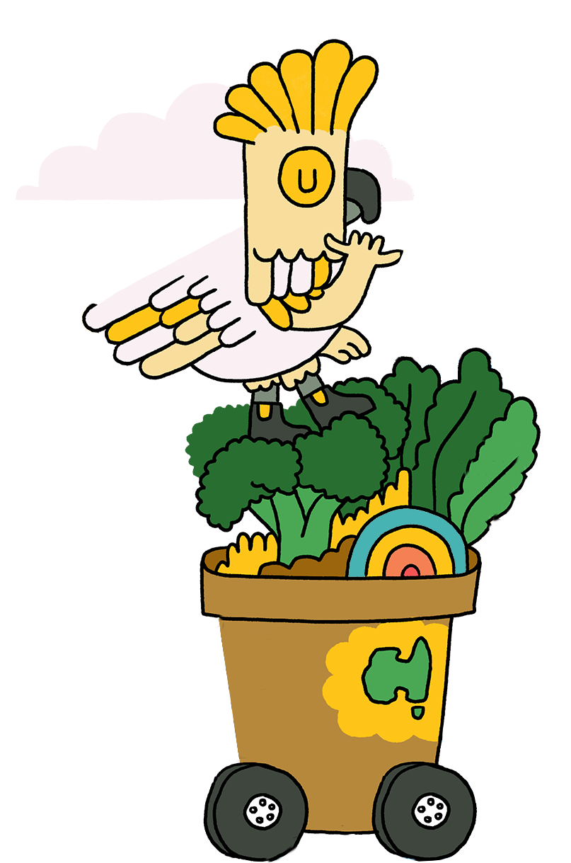 Cockatoo on bin with vegetables and artwork.