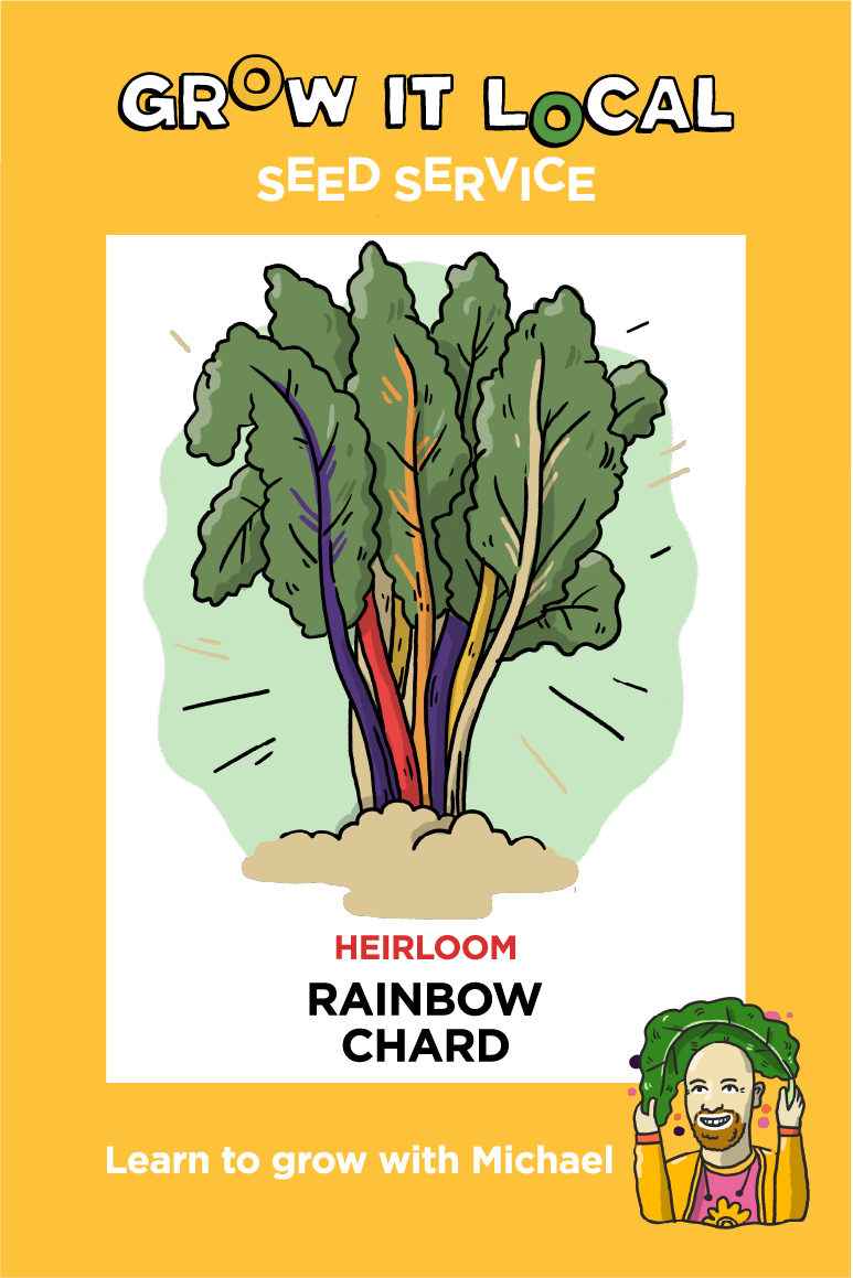 Heirloom rainbow chard seeds from Grow It Local.