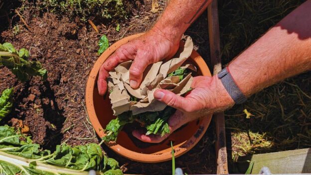 Hands adding cardboard to compost pile.