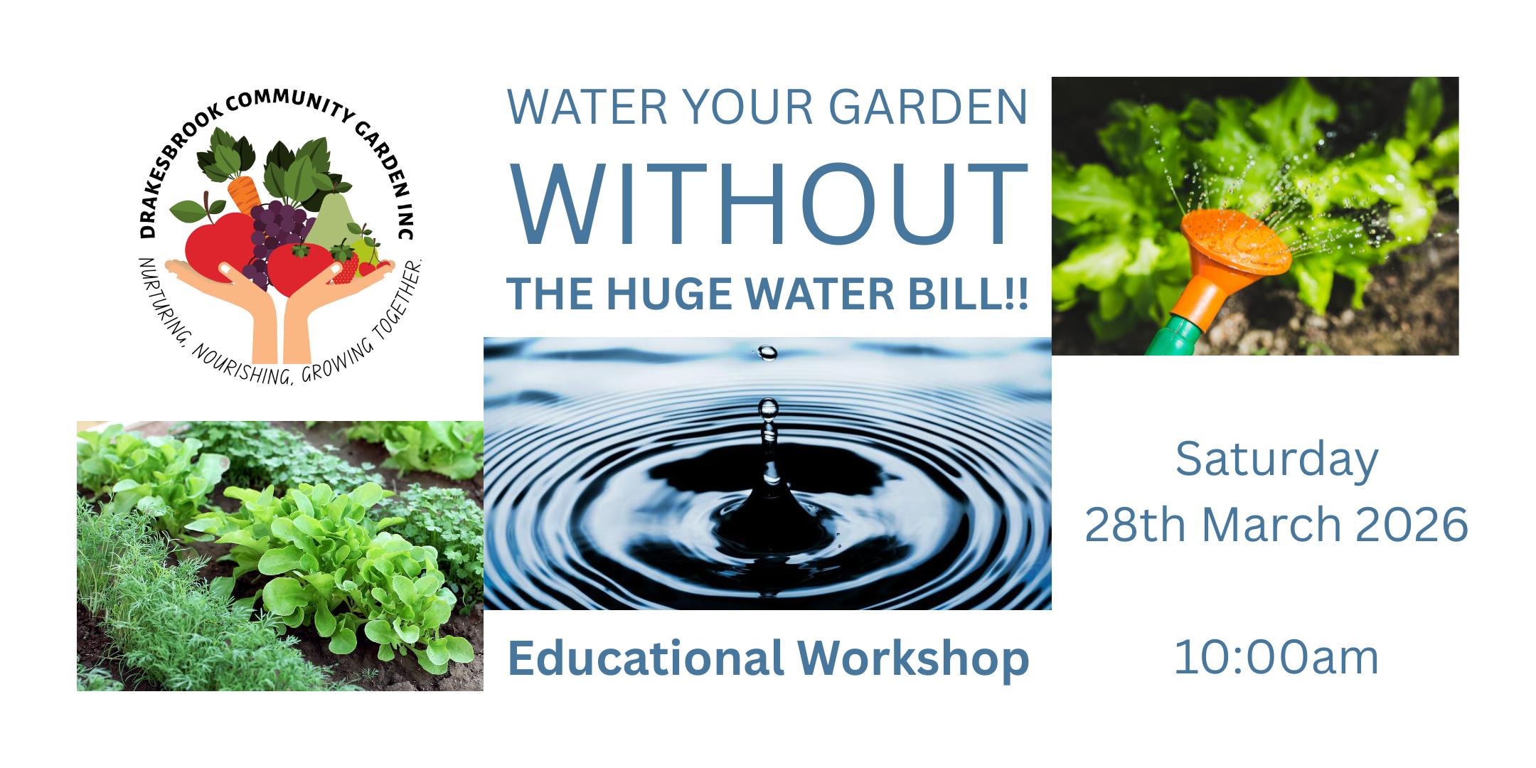 Water Your Garden WITHOUT the Huge Water Bill