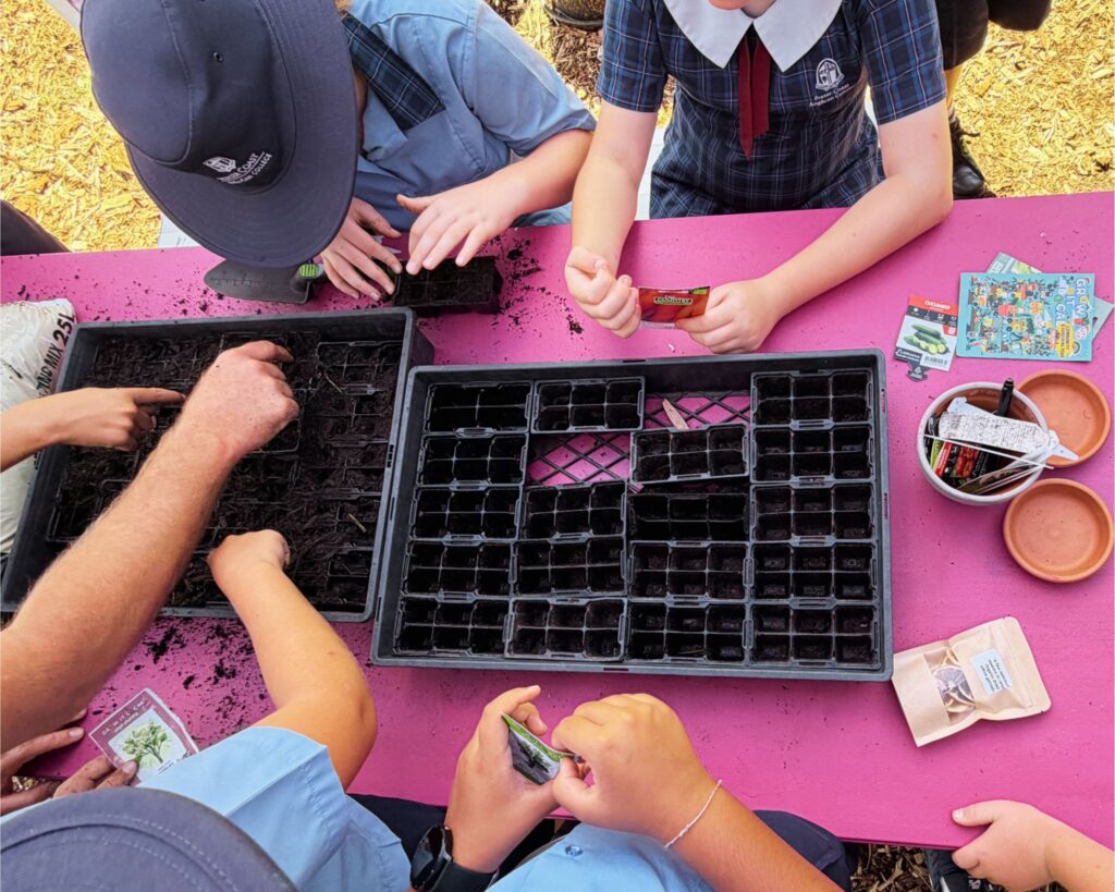 Children planting seeds in trays outdoors