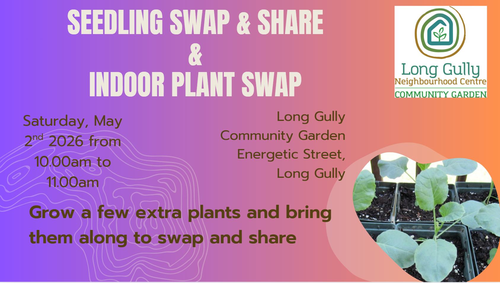 Long Gully Community Garden Autumn Seedling Swap