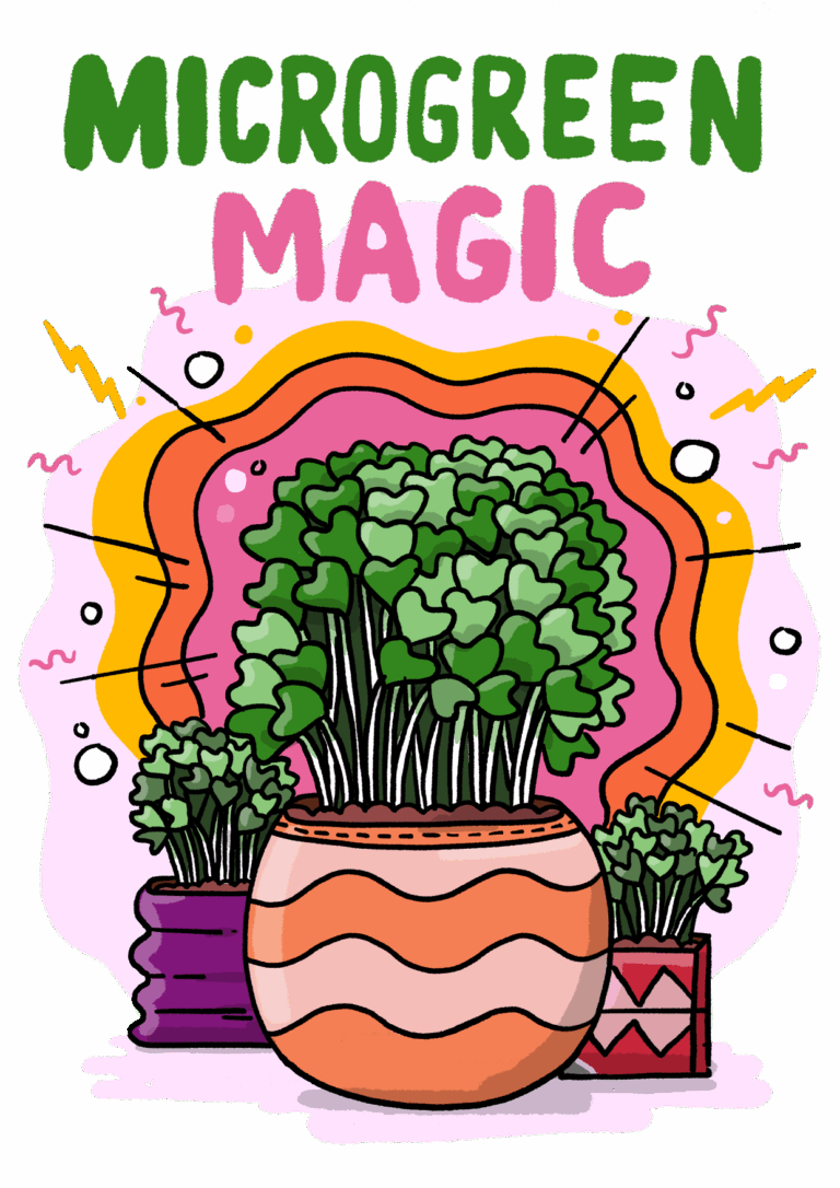 Colourful illustration of microgreens in pots