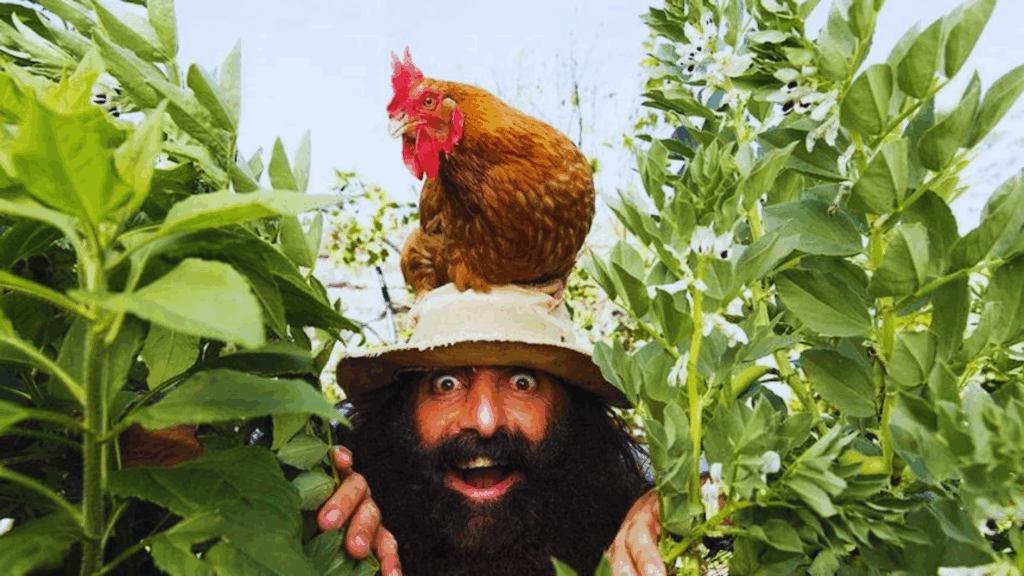 Man with chicken on hat in garden